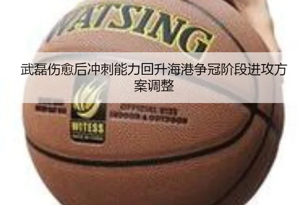 武磊伤愈后冲刺能力回升海港争冠阶段进攻方案调整